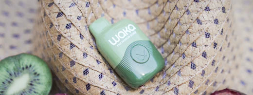 How To Recharge a Disposable Vape? A Quick & Easy Guide How To Recharge a Disposable Vape? A Quick & Easy Guide